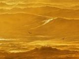 Nad falami morza latają dwa ptaki. Zdjęcie w odcieniach koloru żółtego.
