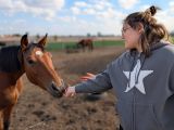Dziewczyna w okularach i szarej bluzie z białą gwiazdą karmi z ręki ciemnego konia