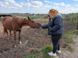 Uczennica w puchowej kurtce karmi konia marchewką