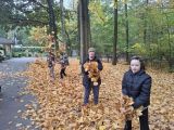 Czworo uczniów w parku pomiędzy drzewami trzyma w dłoniach suche liście. Na ziemi duża ilość pomarańczowych liści