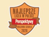 Brązowa odznaka Perspektyw 2020 - logo