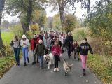 Grupa dzieci prowadzi kozy na postronkach idąc wiejską drogą pomiędzy drzewami