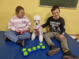 Dziewczynka i chłopiec siedzą na niebieskim materacu. Między nimi biały pudel i kość zabawka.