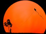 Na tlle dużej tarczy słońca widać czarny cień drzewa i chłopca z latawcem.