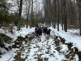 Grupa nastolatków idąca ośnieżonym szlakiem górskim pośród drzew.